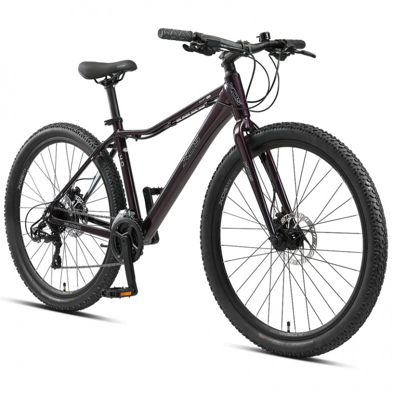 xds fat bike